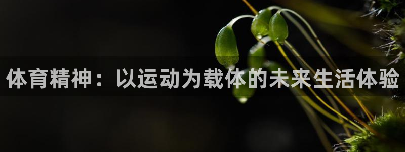JJB竞技宝官网下载开户：体育精神：以运动为载体的未来生活体