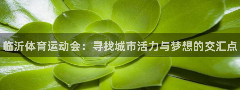 JJB竞技宝官方正版app娱乐首页网站大全：临沂体育