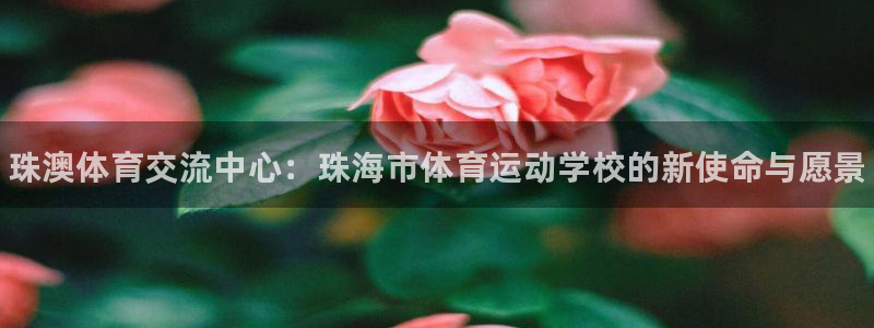 JJB竞技宝官方正版app集团logo：珠澳体育交流