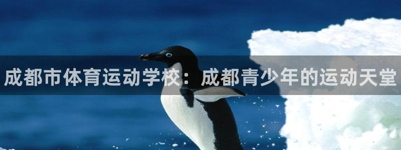 JJB竞技宝官方正版app集团官网首页：成都市体育运动学校：