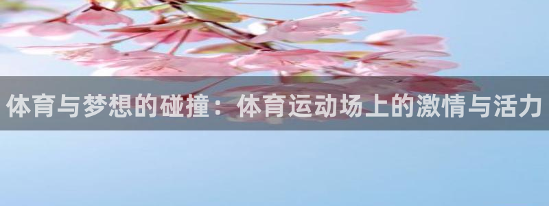 JJB竞技宝官方正版app开户：体育与梦想的碰撞：体