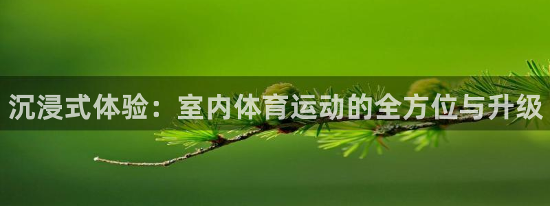 JJB竞技宝官网下载平台：沉浸式体验：室内体育运动的