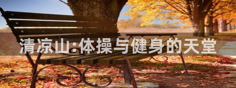JJB竞技宝官网下载招商电话号码是多少：清凉山:体操