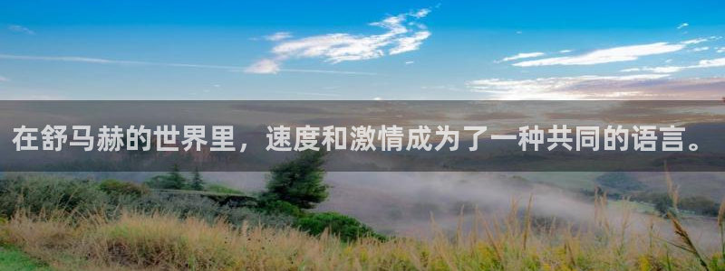 JJB竞技宝官方正版app集团官网首页网址：在舒马赫的世界里