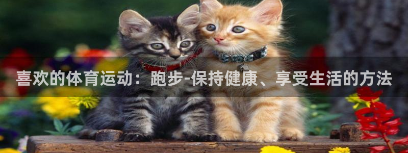 JJB竞技宝官方正版app集团官网网址