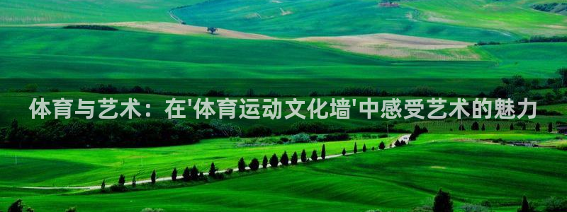 JJB竞技宝官网下载平台：体育与艺术：在\'体育运动