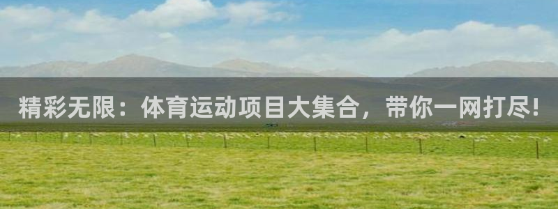 JJB竞技宝官方正版app集团官网首页网址：精彩无限：体育运