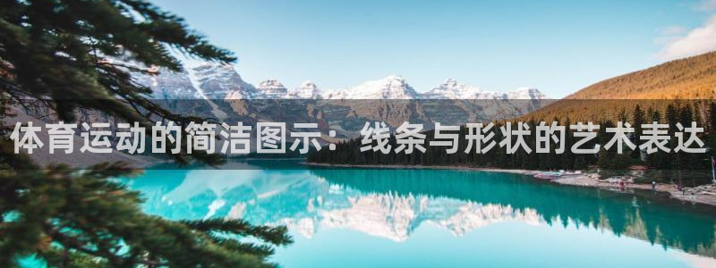 JJB竞技宝官网下载平台APP：体育运动的简洁图示：线条与形