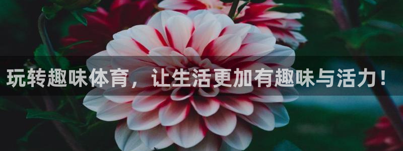 JJB竞技宝官网下载招商电话是多少号码