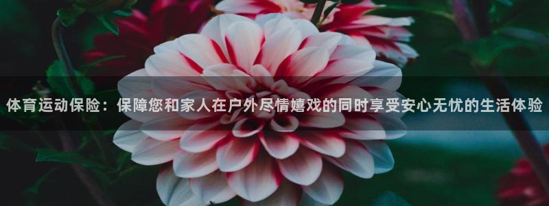 JJB竞技宝官方正版app集团E.ON：体育运动保险：保障您