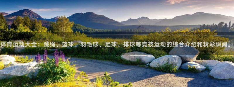 JJB竞技宝官网下载招商电话：体育运动大全：跳绳、篮球、羽毛