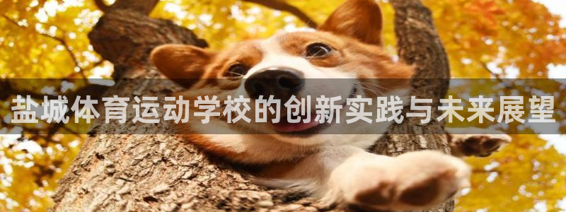 JJB竞技宝官网下载平台注册要钱吗是真的吗：盐城体育