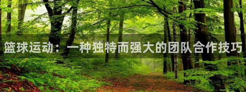 JJB竞技宝官网下载平台注册要钱吗安全吗：篮球运动：一种独特