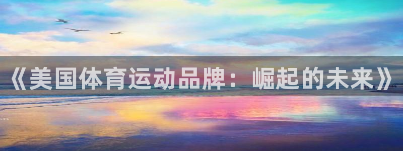JJB竞技宝官网下载招商电话：《美国体育运动品牌：崛起的未来