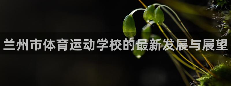 JJB竞技宝官网下载娱乐：兰州市体育运动学校的最新发展与展望