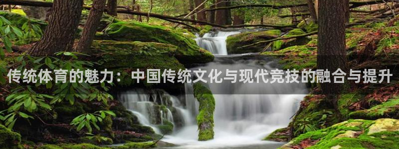 JJB竞技宝官方正版app代理：传统体育的魅力：中国传统文化