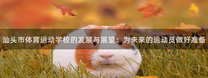 JJB竞技宝官网下载招商电话号码是多少号：汕头市体育运动学校