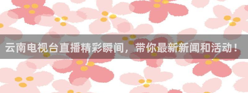 蜘蛛直播高清体育免费下载：云南电视台直播精彩瞬间，带你最新新闻和活动！