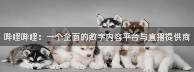 蜘蛛nba直播：哔哩哔哩：一个全面的数字内容平台与直播提供商