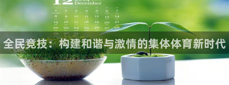  竞技宝app最新版本下载：全民竞技：构建和谐与激情的集体体育