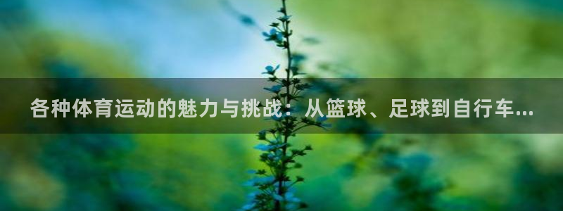  竞技宝入口官网首页app下载：各种体育运动的魅力与挑战：从篮