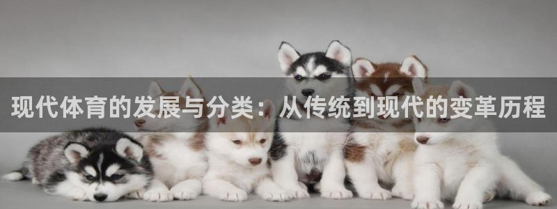  竞技宝会黑吗：现代体育的发展与分类：从传统到现代的变革历程