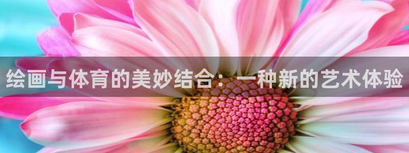 竞技宝JJB官方网站：绘画与体育的美