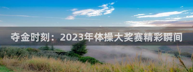 竞技宝平台黑不黑钱：夺金时刻：2023年体操大奖赛精彩瞬间