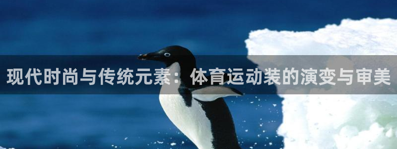  竞技宝合法安全吗：现代时尚与传统元素：体育运动装的演变与审美