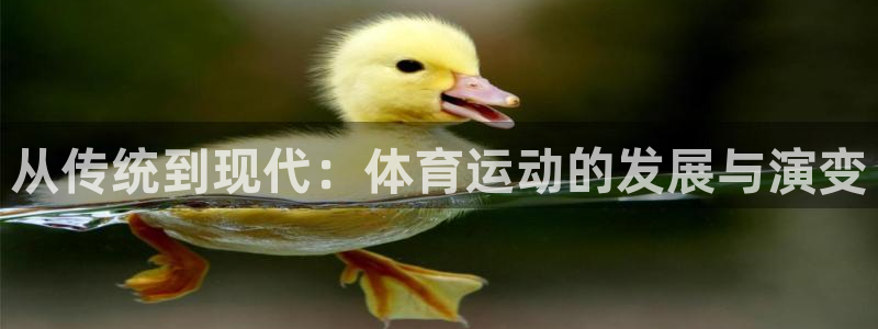 竞技宝黑钱：从传统到现代：体育运动的