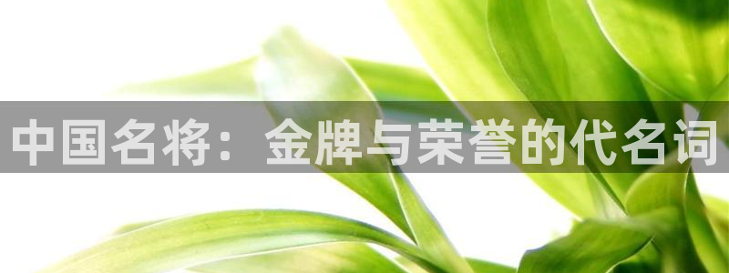 竞技宝好用吗：中国名将：金牌与荣誉的