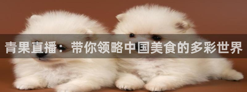 蜘蛛直播体育足球