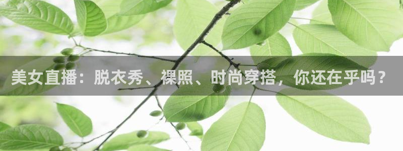 蜘蛛直播nba在线观看