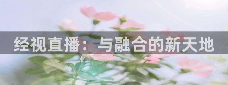 蜘蛛直播nba免费观看：经视直播：与融合的新天地