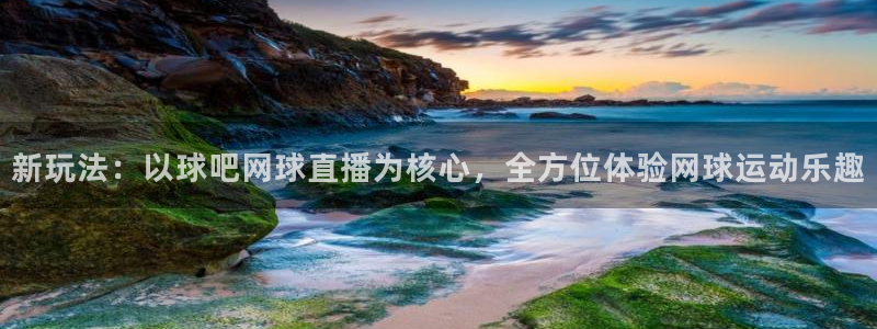 蜘蛛体育直播小狐狸：新玩法：以球吧网球直播为核心，全方位体验网球运动乐趣
