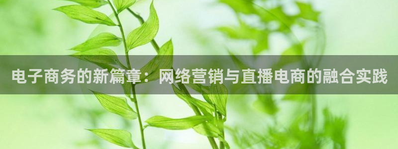 蜘蛛体育官网入口：电子商务的新篇章：网络营销与直播电商的融合实践